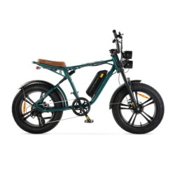 ENGWE M20 - Groen
