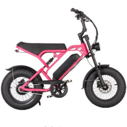 V20 Pro Mini - Roze