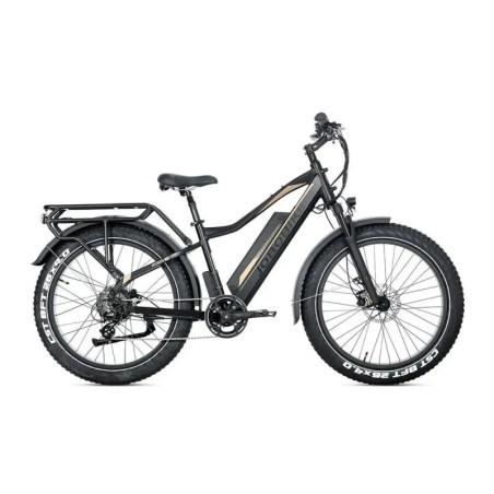 JOBOBIKE Robin Pro - Zwart-goud