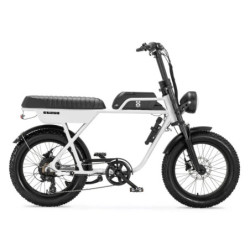 AGM GT250 - Wit