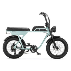AGM GT250 12.8Ah – Elektrische Fatbike | Robuust & Comfortabel