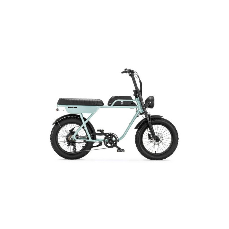 AGM GT250 12.8Ah – Elektrische Fatbike | Robuust & Comfortabel