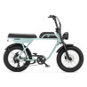 AGM GT250 12.8Ah – Elektrische Fatbike | Robuust & Comfortabel