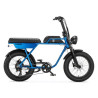 AGM GT250 12.8Ah – Elektrische Fatbike | Robuust & Comfortabel