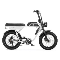 AGM GT250 12.8Ah – Elektrische Fatbike | Robuust & Comfortabel
