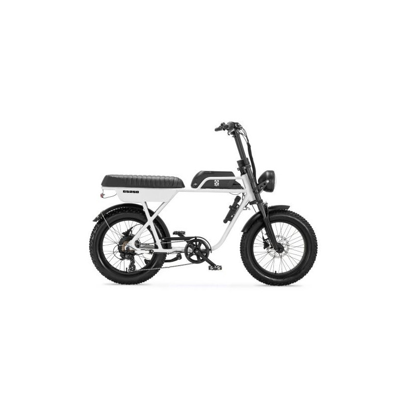 AGM GT250 12.8Ah – Elektrische Fatbike | Robuust & Comfortabel