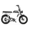 AGM GT250 12.8Ah – Elektrische Fatbike | Robuust & Comfortabel
