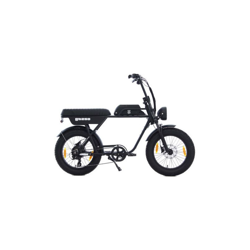AGM GT250 12.8Ah – Elektrische Fatbike | Robuust & Comfortabel
