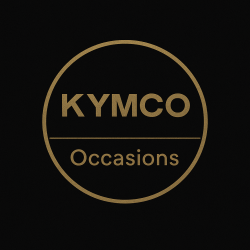 Kymco People S 50 Occasion 2012 – 10.527 km | QualityMotors.nl