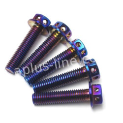 BOUT APLUS M6X30 (10 STUKS) OIL