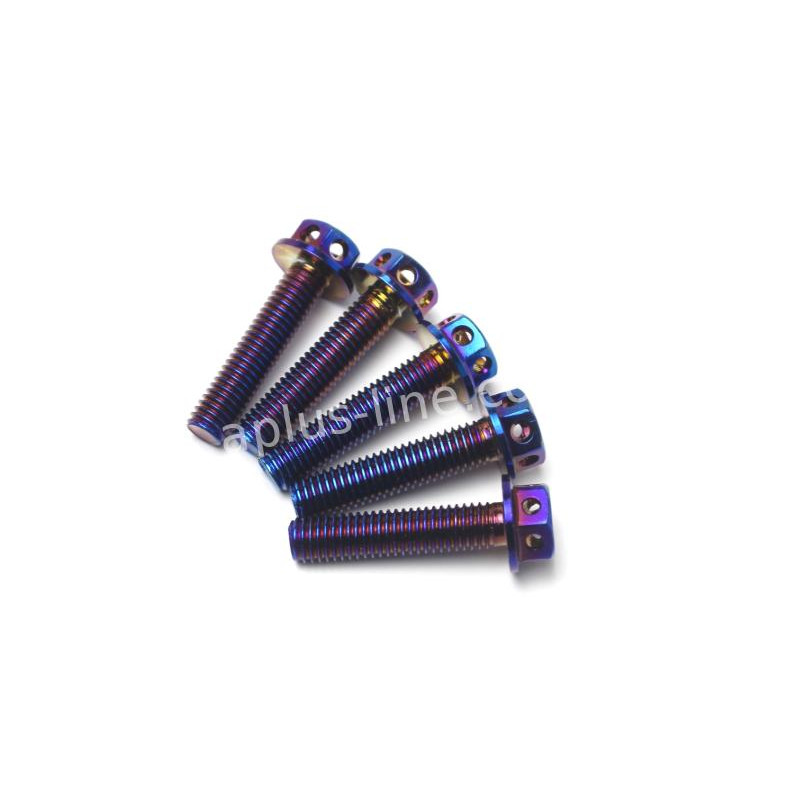 BOUT APLUS M6X30 (10 STUKS) OIL