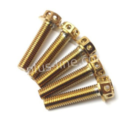 BOUT APLUS M6X30 (10 STUKS) GOLD