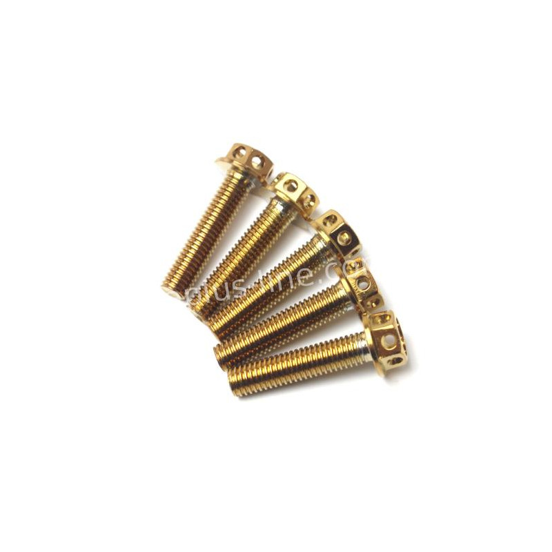 BOUT APLUS M6X30 (10 STUKS) GOLD