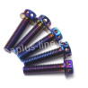 BOUT APLUS M8X30 (10 STUKS) OIL