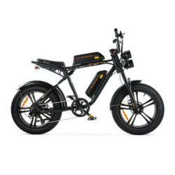 ENGWE M20 - Dubbele Accu - Zwart