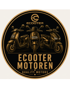 Ecooter Motoren